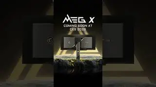 MSI MEG X