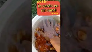 ESCABECHE DE HONGOS DE EUCALIPTOS 🍄🍄🍄