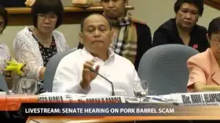 Senate hearing on pork barrel scam (part 2)