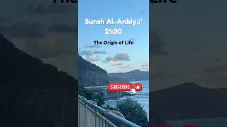 Single verse proves the Origin of Life 💫 #revelation  #scienceinislam  #إعجاز_علمي #islamicreminder
