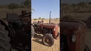 massey35