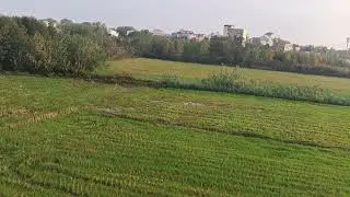 @طبیعت