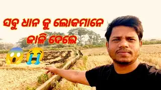 ସବୁ ଧାନ କୁ ଲୋକମାନେ ଜାଳି ଦେଲେ😱😭 lloriya llvlogs MANTAN 