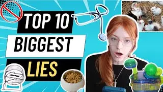 Top 10 Pet Store Lies😲🐹🚫🐶