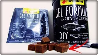 RA&Ccedil;&Atilde;O EM GEL ? DEU CERTO ?! ( DIY GEL FORMULA OMN&Iacute;VOROS )