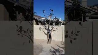 Deerfield Beach FL Sculpture