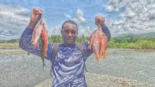 &laquo;Солнце палит, и свежий улов стоит жары!&raquo; #FreshCatch #HotSunHustle #TropicalFishing