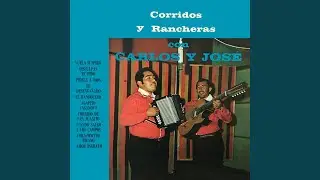 Corazoncito Tirano