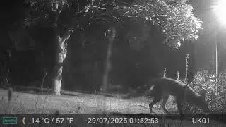 Photos & Videos GardePro A3 Trail Camera 1 of 2 Worcester, England 29th to 30th July 2025