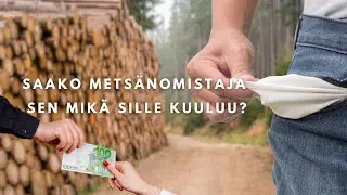 Saako metsänomistaja sen mikä sille kuuluu?