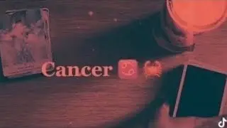 Рак ♋️ любит гадание на картах Таро &mdash; они чувствуют с вами глубокую связь.