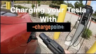 Charging your Tesla Model 3 S X & Y with Chargepoint Chargers
