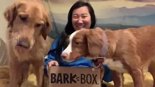 February 2019 BarkBox Unboxing - @mycaninelife
