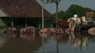 Bosnie: Domaljevac, village submerg&eacute; par les eaux