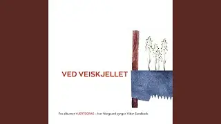 Ved veiskjellet