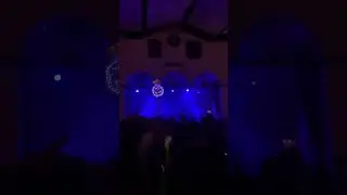 Hello Yes - THE BAG (Live at Lightning in a Bottle 2023)