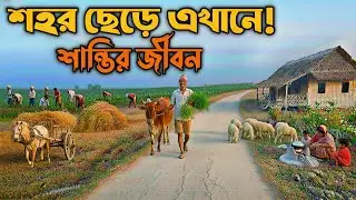 চরে জমির দাম এত কম কেন? ১৫ মিনিটে জানুন স্বপ্ন পূরণের অজানা গল্প