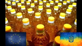 Europe is facing a shortage of sunflower oil.