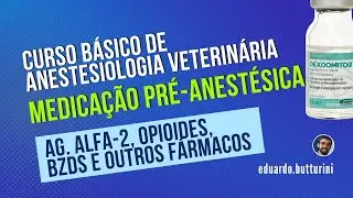 Aula 14 - MPA - Benzodiazepinas, alfa-2 ag., opiodes (Curso básico de anestesiologia veterinária)