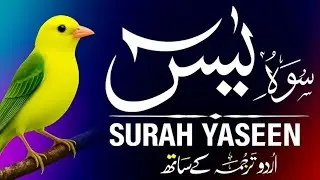 Surah Yaseen With Urdu & Hindi Translation | Heart Touching Recitation | سورت یٰسین ترجمہ کے ساتھ