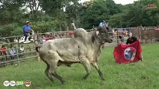 Patronales de El Guásimo de Los Santos organiza Chichín Rodríguez, 18 de agosto 2024