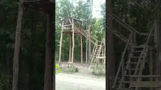 forest area of uttarpradesh.   #uttarpradesh #pilibhit #upwallde