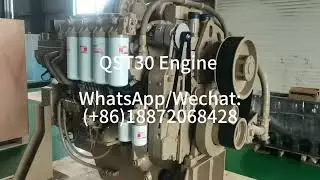 #QST30 #engine assembly #двигатель в сборе#engineparts #запчасть