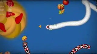 Wormzone Challenge