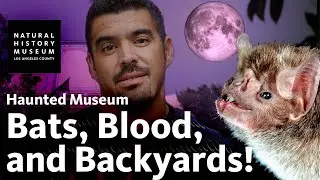 (Members) Haunted Museum: Bats, Blood, and Backyards!