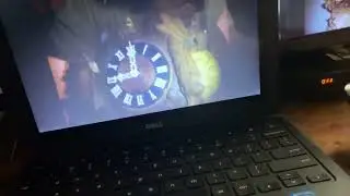 Coo coo clocks in clock room part 002