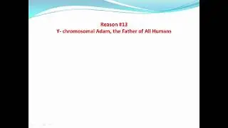 Macro Evolution? Y-Chromosomal Adam, the Father of All Humans