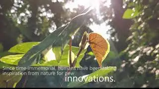 Innovative application inspired from Samara. [ The M.S. University of Baroda ]