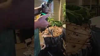 ПЕРФОРАТОР METABO HPT 18 ВОЛЬТ HIGH TQ С БЕСПЛАТНЫМИ ЯЧЕЙКАМИ 8 А MAXX TQ