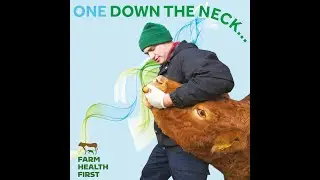 One Down the Neck - Oral Drenching Cattle