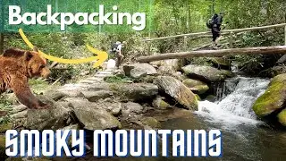 Backpacking The Twentymile Loop To Camp 92 Smoky Mountains National Park Best Backpacking Trails