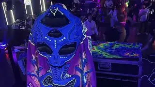 Sun Tribe X Mas