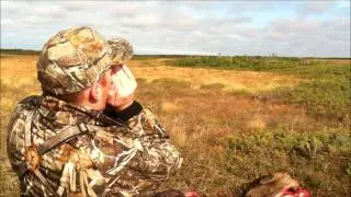 Cape Shore  Moose Hunt  Dans' Camp  Oct. 2011