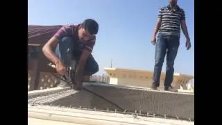 AL RAFE BIRD CONTROL ABU DHABI