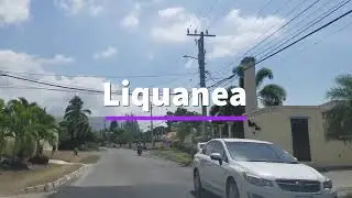 Driving through Liquanea | Jamaica