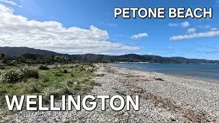 ✨️ BEACHWALKS | Petone, Wellington,  New Zealand 🇳🇿 [4K]