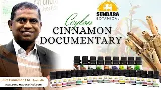Ceylon Cinnamon Documentary  - English