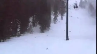 Utah Ski resort caught in major wind storm  causing a tree to fall