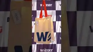 WeLaser Mech