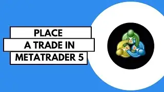 Как разместить трейдера в MetaTrader 5
