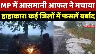 Weather Update : MP में कुदरत ने बरपाया कहर, Rain और Hailstrom ने तोड़ी किसानों की कमर | Latest News