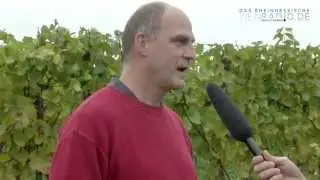 Weinradio Doerrschuck in L&ouml;rzweiler
