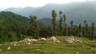 Kafar banda