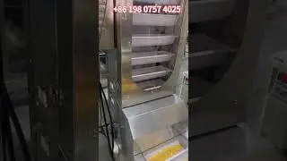 250g pasta raw  multi head weigher vffs vertical filling machine#factory #machine #packing