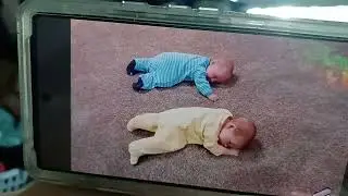 The twins rolling over at 11 weeks old, 3 weeks projected age.