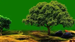 Nature Background Video / Background Video Effects hd / Green Screen Effects / Jungle Green Screen